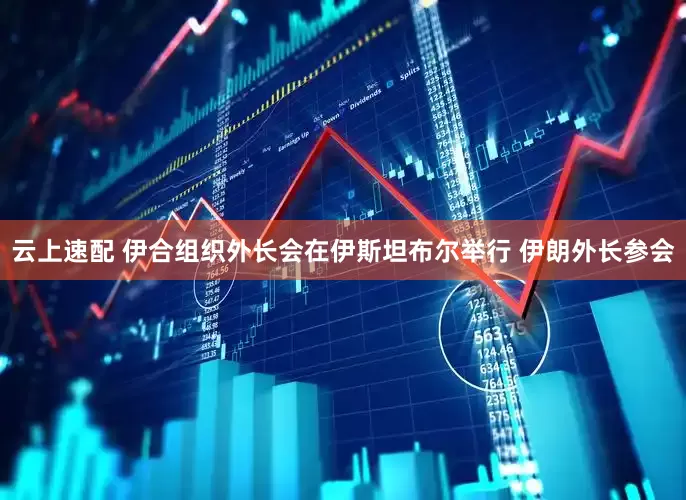云上速配 伊合组织外长会在伊斯坦布尔举行 伊朗外长参会
