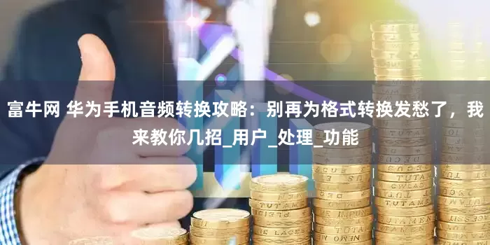 富牛网 华为手机音频转换攻略：别再为格式转换发愁了，我来教你几招_用户_处理_功能