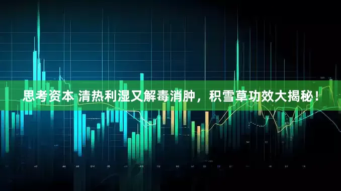 思考资本 清热利湿又解毒消肿，积雪草功效大揭秘！